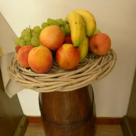 Larina Bed and breakfast